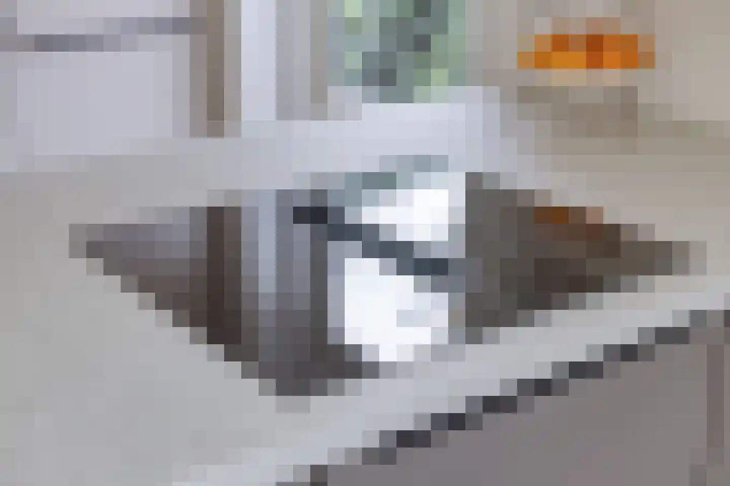 Jan Tooropstraat 28 Eindhoven thumbnail 23