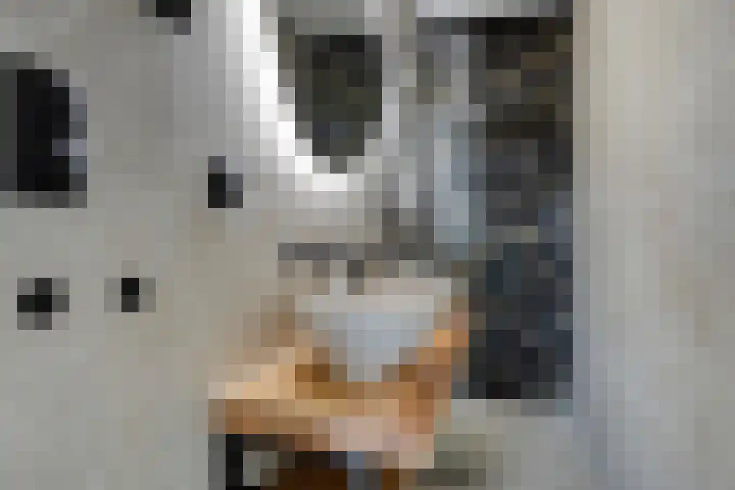 Jan Tooropstraat 28 Eindhoven thumbnail 32