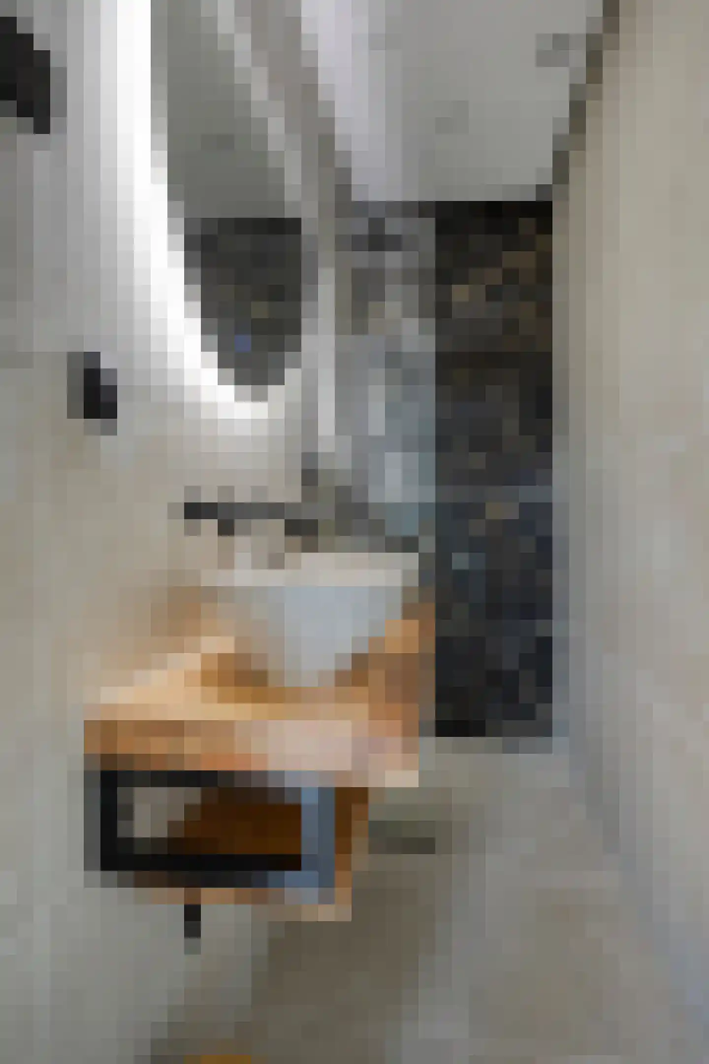 Jan Tooropstraat 28 Eindhoven thumbnail 33
