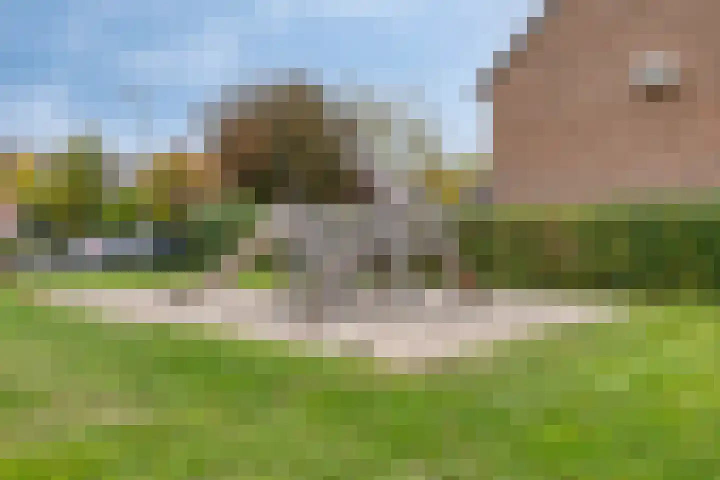 Jan Tooropstraat 28 Eindhoven thumbnail 46
