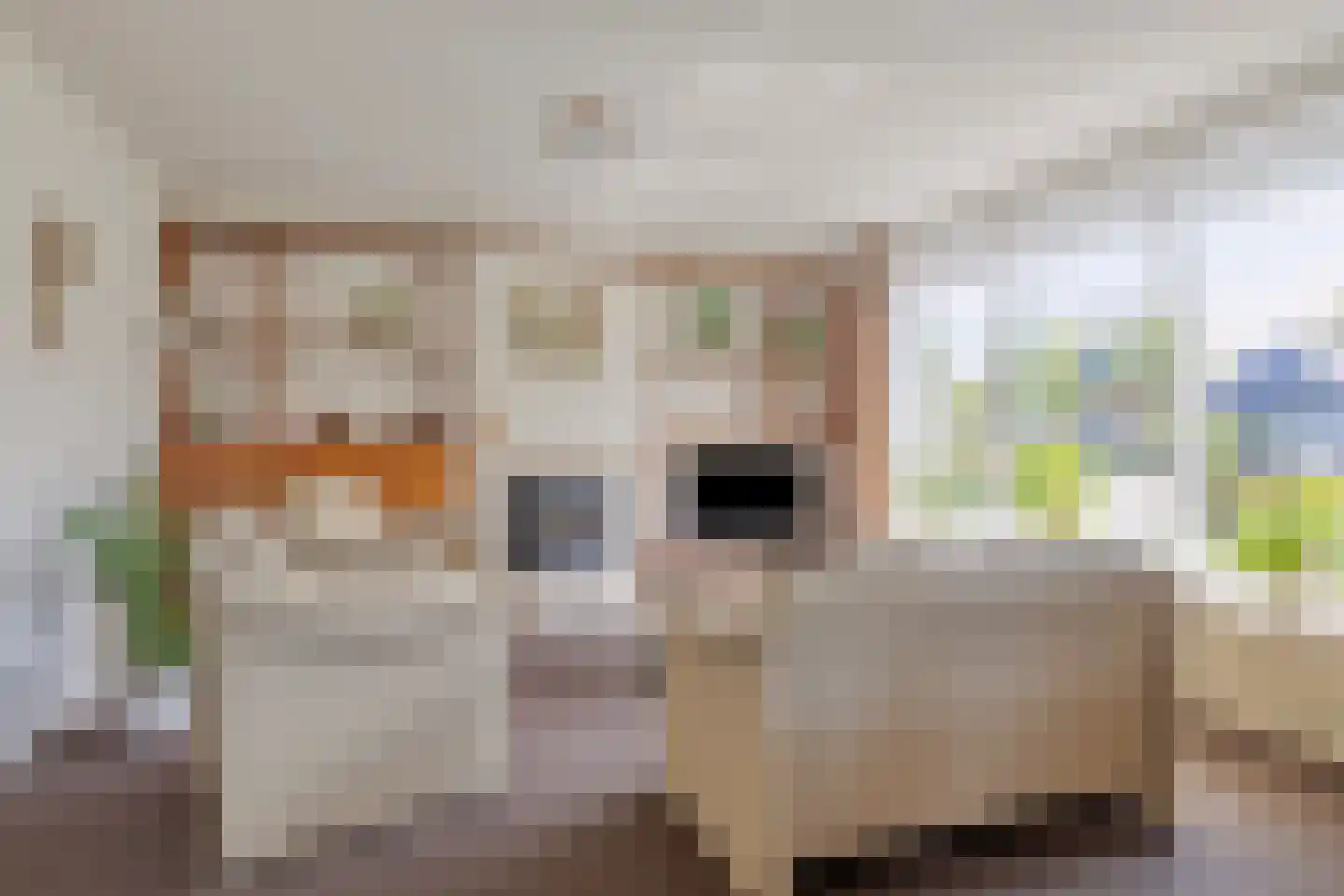 Jan Tooropstraat 3 Winterswijk thumbnail 12