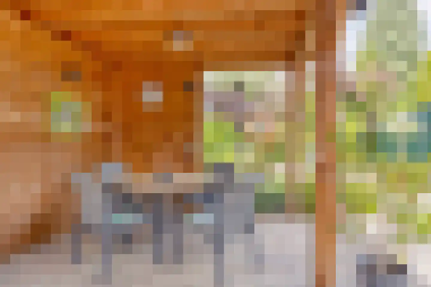 Jan Tooropstraat 3 Winterswijk thumbnail 49
