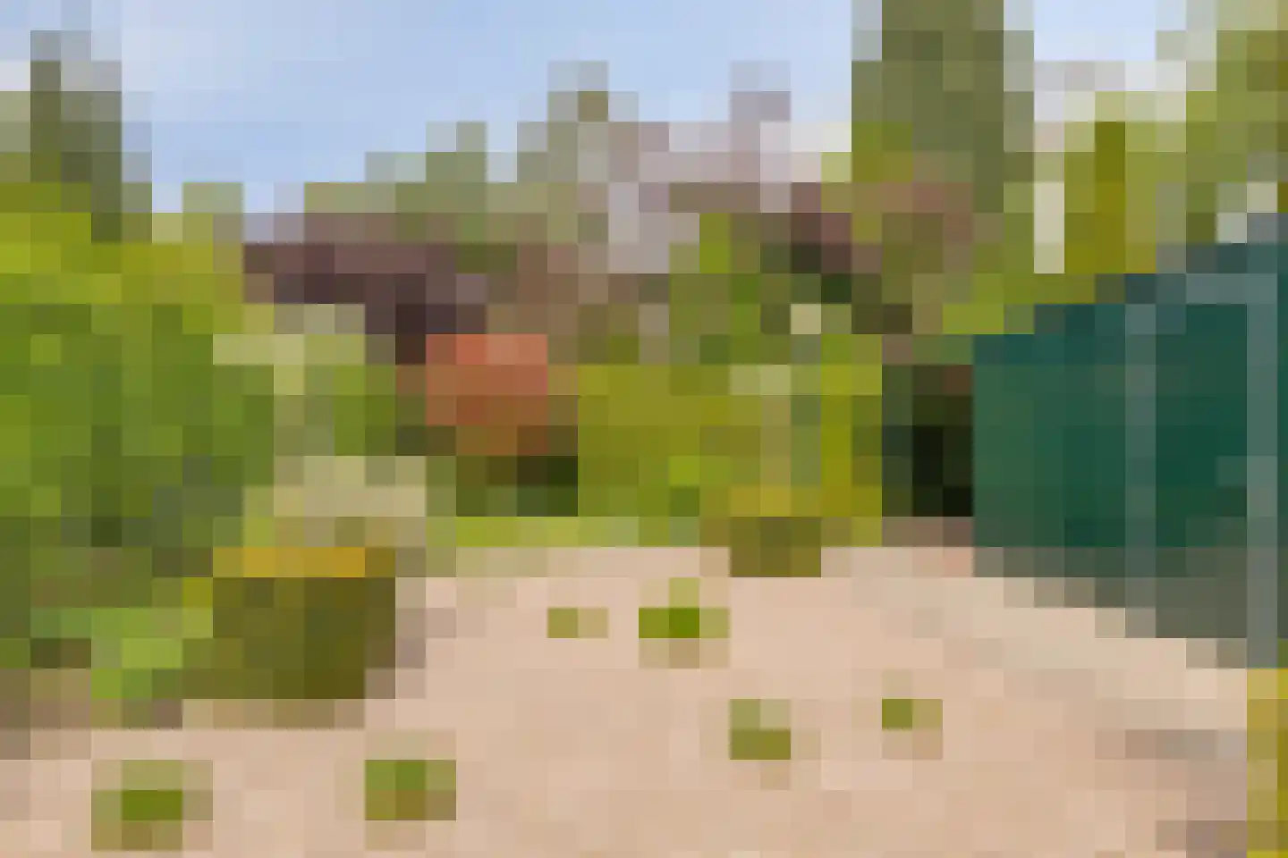 Jan Tooropstraat 3 Winterswijk thumbnail 50