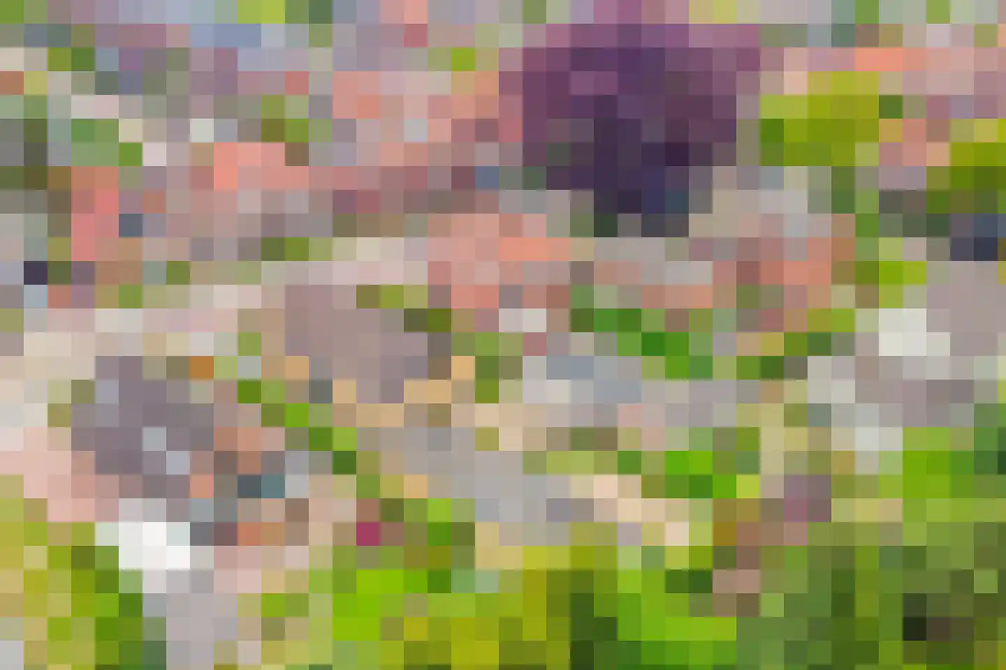Jan Tooropstraat 3 Winterswijk thumbnail 58