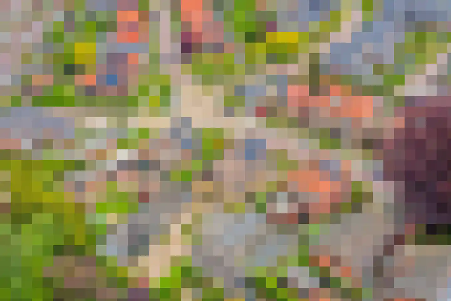 Jan Tooropstraat 3 Winterswijk thumbnail 59