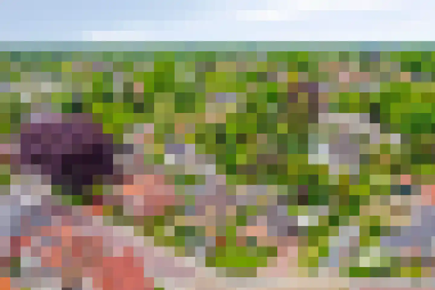 Jan Tooropstraat 3 Winterswijk thumbnail 60