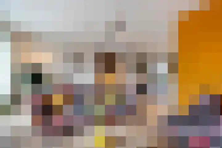 Jan Tooropstraat 39 Ommen thumbnail 21