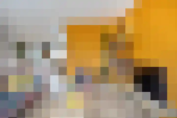 Jan Tooropstraat 39 Ommen thumbnail 22