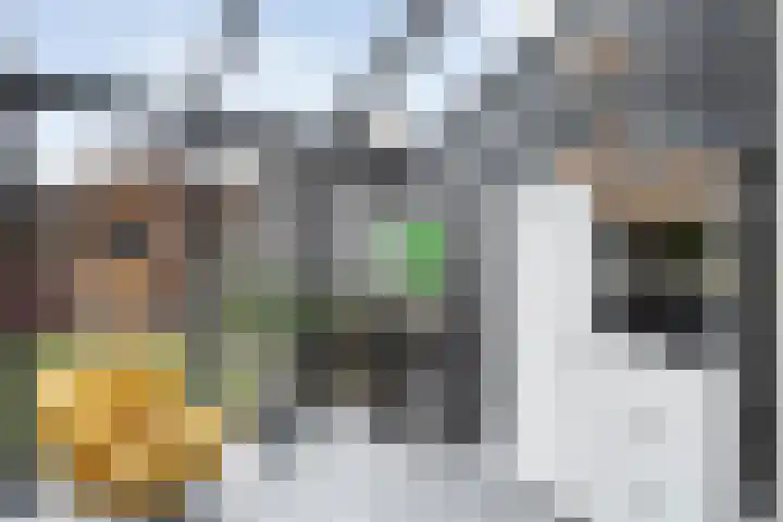 Jan Tooropstraat 39 Ommen thumbnail 23