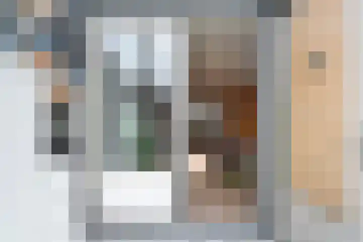 Jan Tooropstraat 39 Ommen thumbnail 25