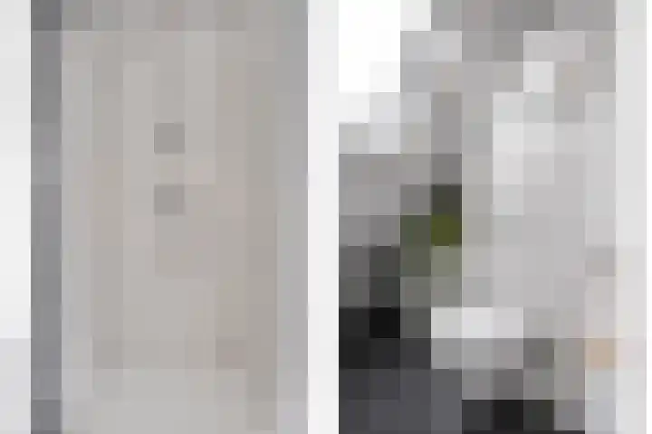 Jan Tooropstraat 39 Ommen thumbnail 36