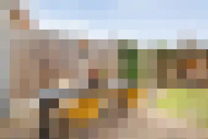 Jan Tooropstraat 39 Ommen thumbnail 43
