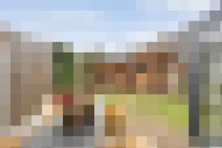 Jan Tooropstraat 39 Ommen thumbnail 44