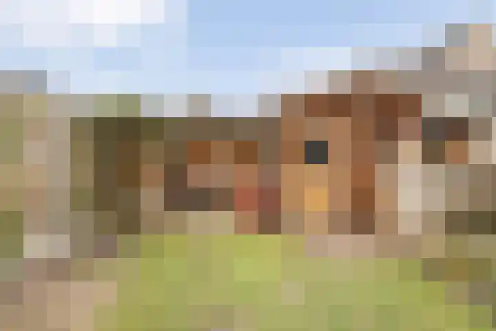 Jan Tooropstraat 39 Ommen thumbnail 45