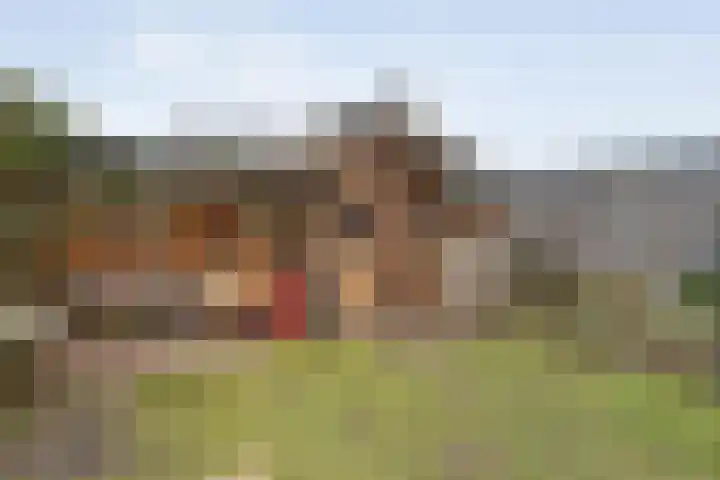 Jan Tooropstraat 39 Ommen thumbnail 46