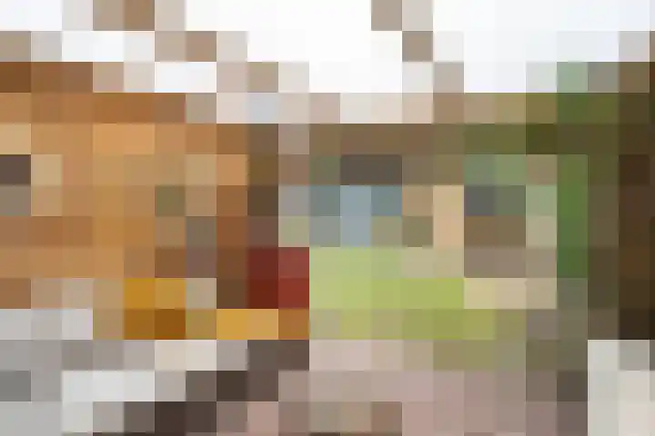 Jan Tooropstraat 39 Ommen thumbnail 49