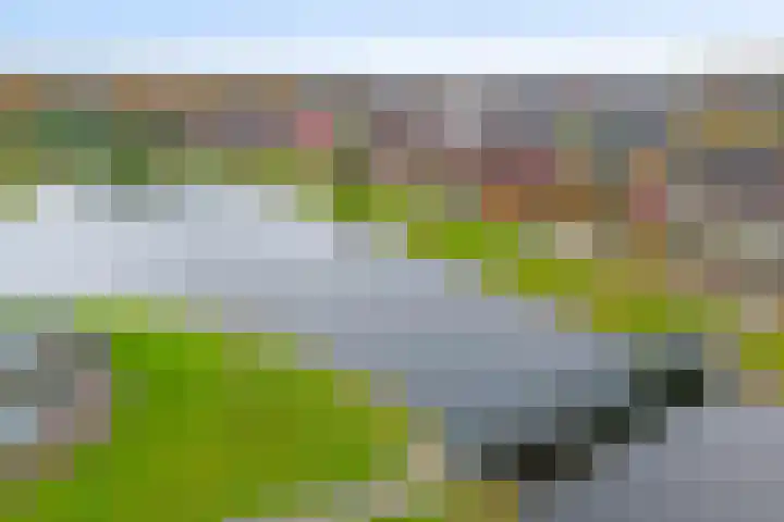 Jan Tooropstraat 39 Ommen thumbnail 57