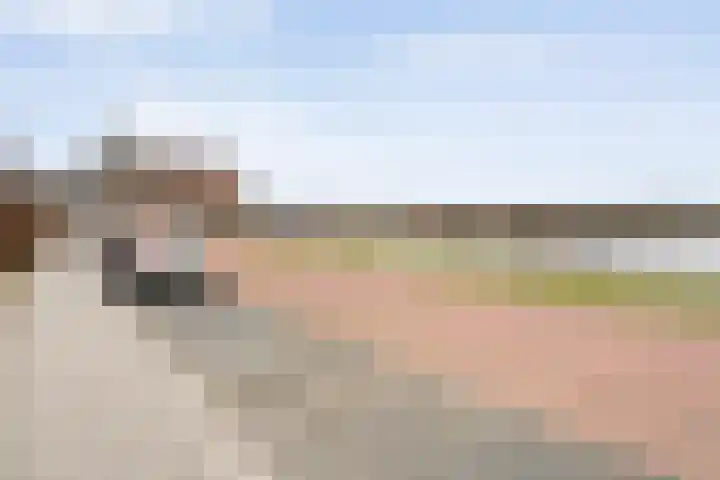 Jan Tooropstraat 39 Ommen thumbnail 7