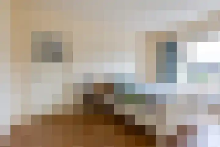 Jan Tooropstraat 4 Winterswijk thumbnail 29