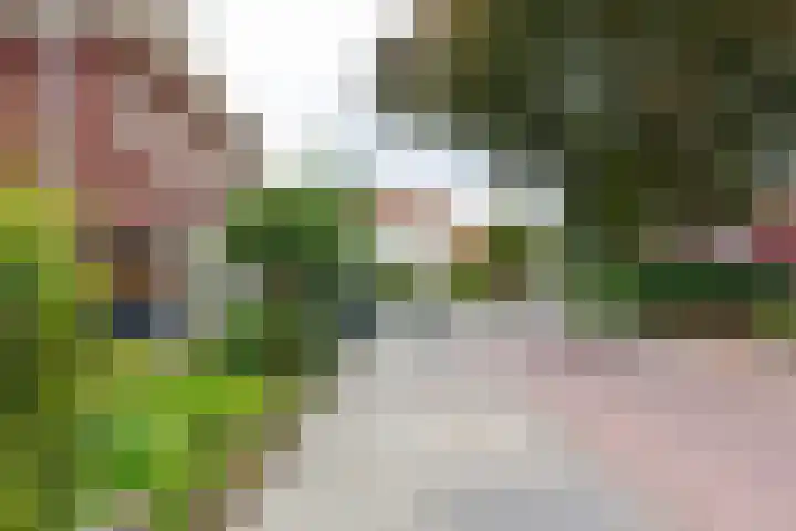 Jan Tooropstraat 4 Winterswijk thumbnail 49