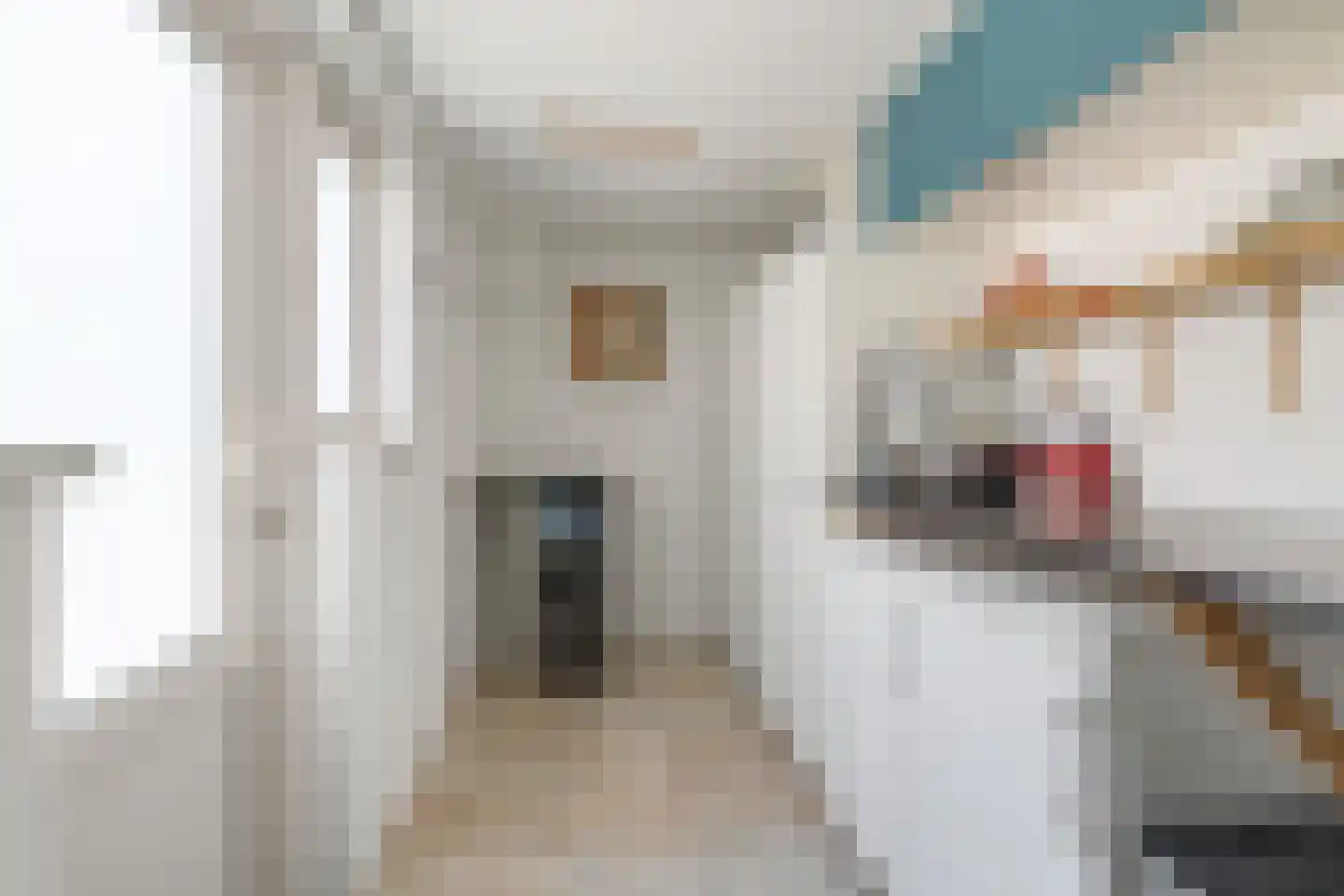 Jan Tooropstraat 47 Oud-Beijerland thumbnail 13