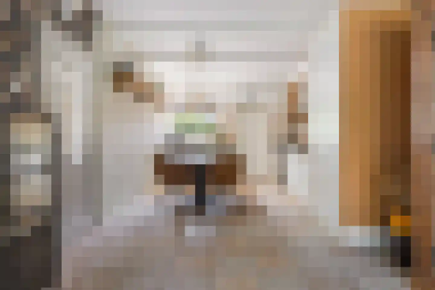 Jan Tooropstraat 47 Oud-Beijerland thumbnail 18