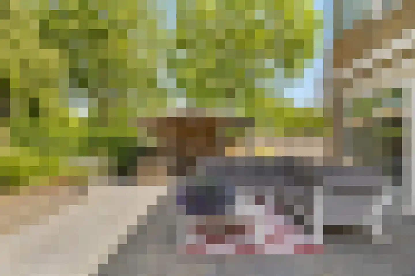 Jan Tooropstraat 47 Oud-Beijerland thumbnail 29