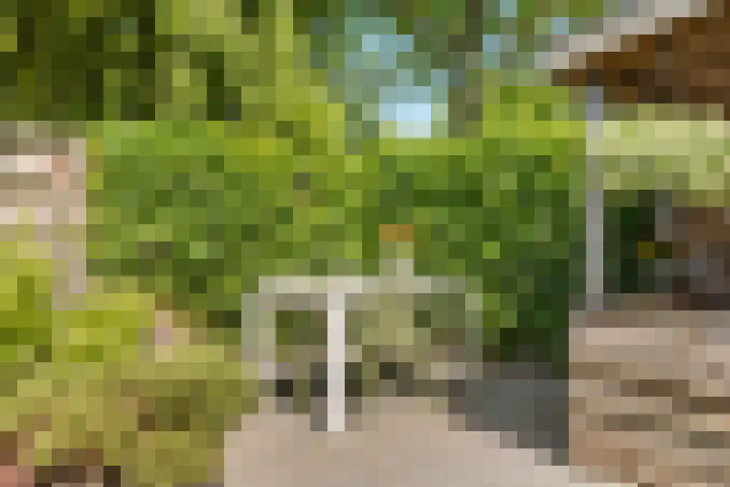Jan Tooropstraat 47 Oud-Beijerland thumbnail 30