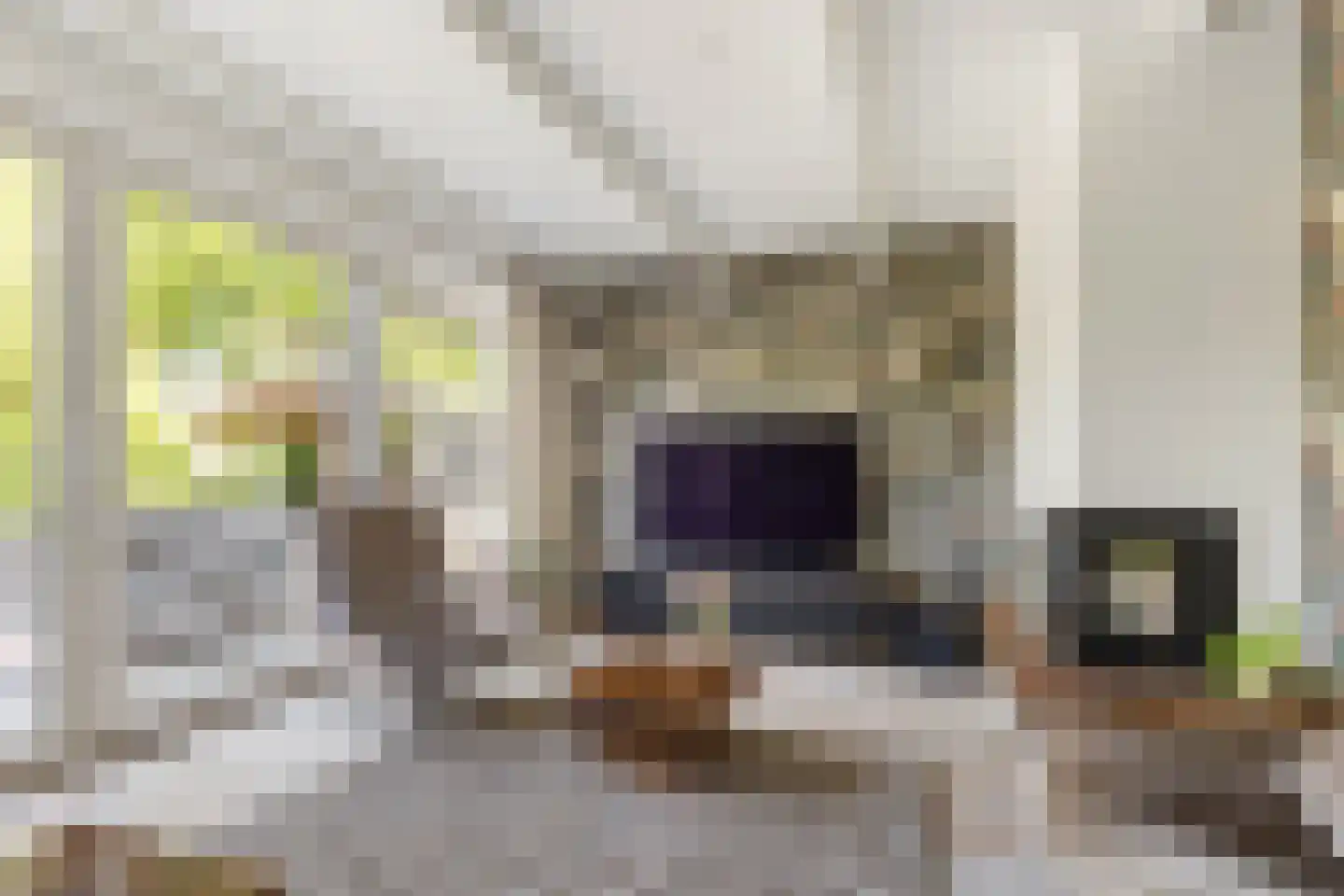 Jan Tooropstraat 47 Oud-Beijerland thumbnail 6