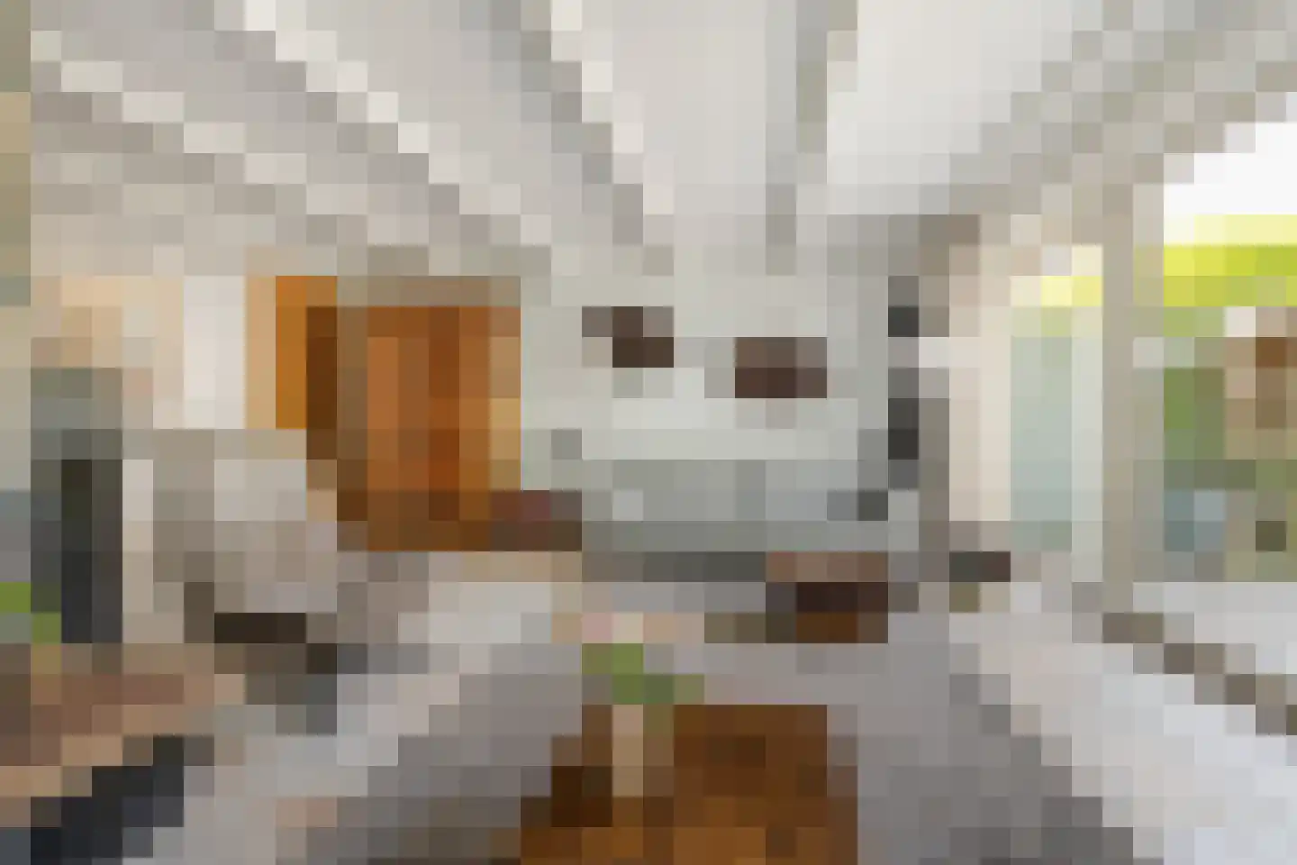 Jan Tooropstraat 47 Oud-Beijerland thumbnail 7