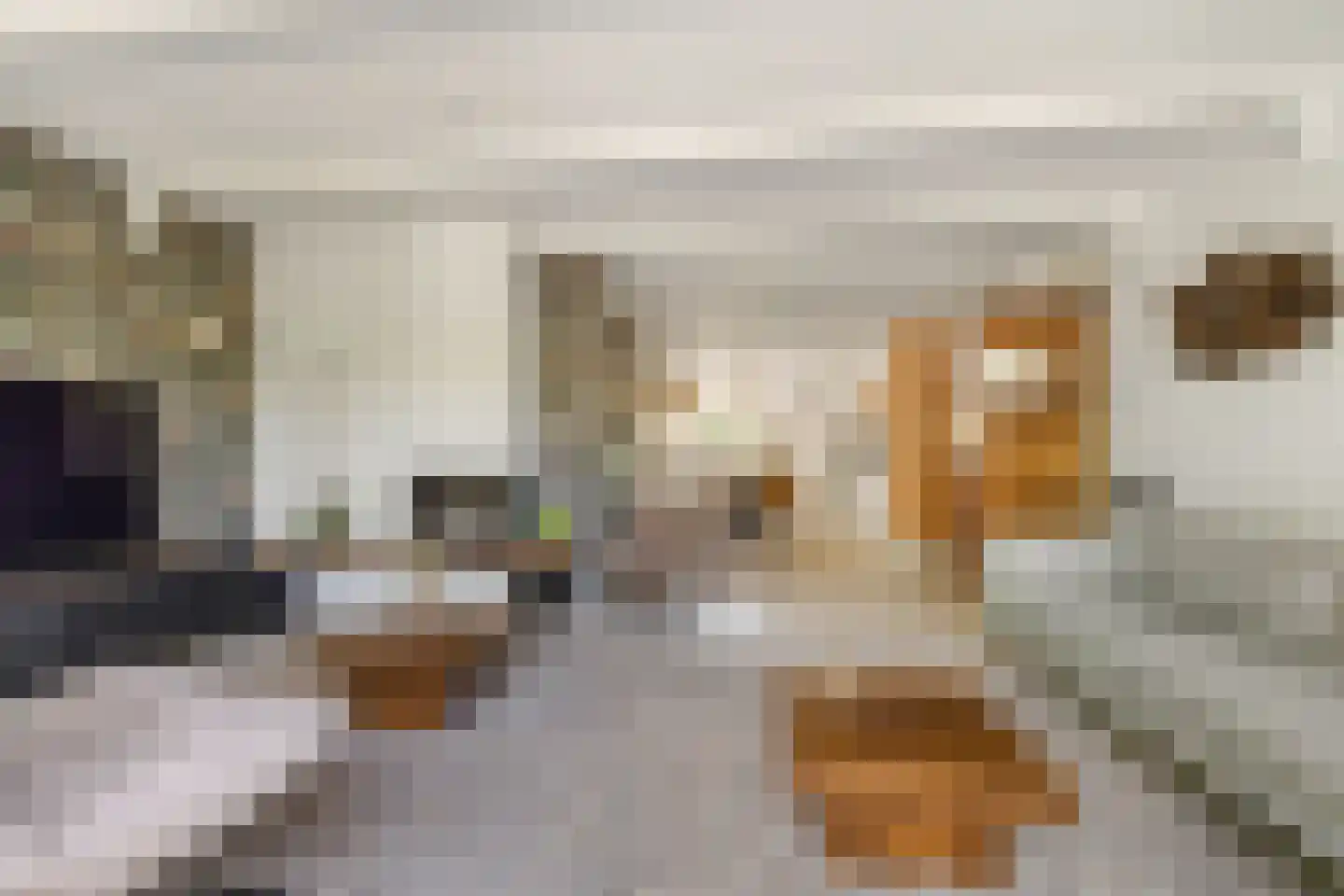 Jan Tooropstraat 47 Oud-Beijerland thumbnail 8