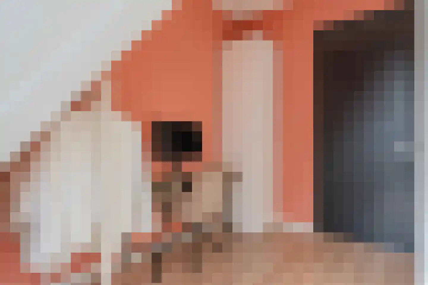 Jan Tooropstraat 57 Katwijk thumbnail 22