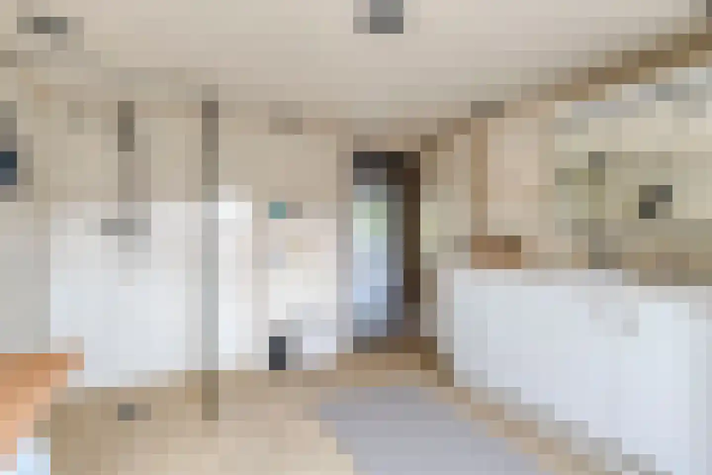 Jan Tooropstraat 59 Oud-Beijerland thumbnail 23
