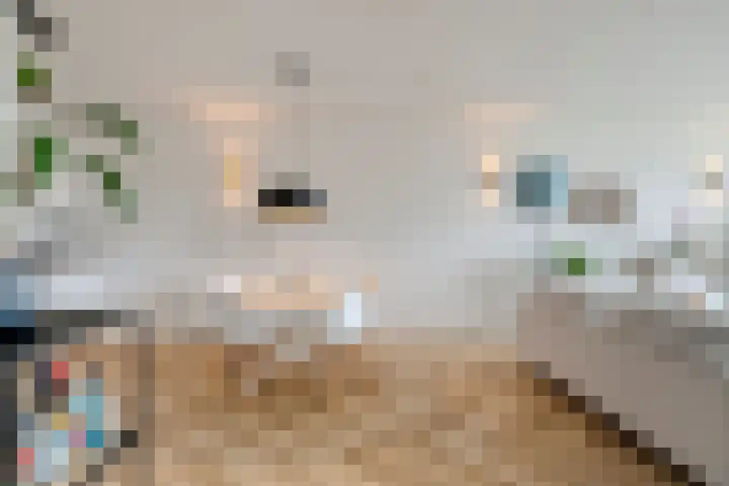 Jan Tooropstraat 613 Amsterdam thumbnail 15