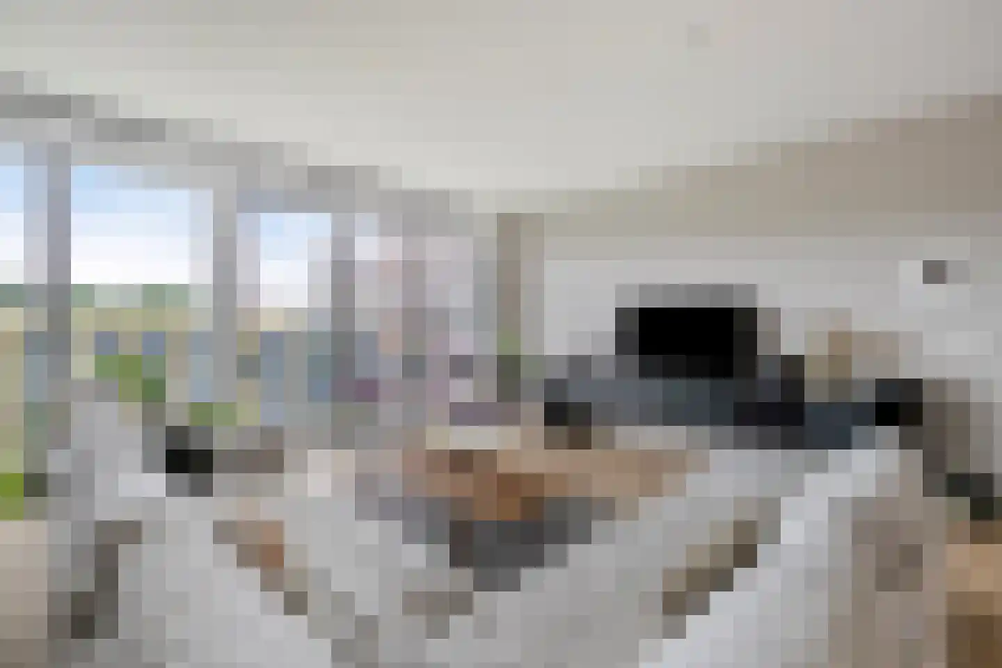 Jan Tooropstraat 613 Amsterdam thumbnail 6