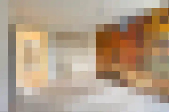 Jan Tooropstraat 63 Oud-Beijerland thumbnail 12