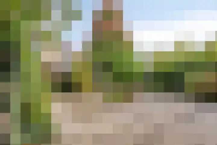 Jan Tooropstraat 63 Oud-Beijerland thumbnail 18
