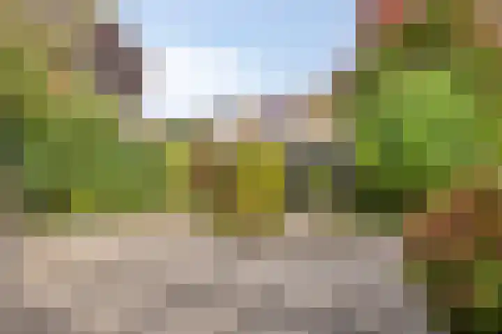 Jan Tooropstraat 63 Oud-Beijerland thumbnail 19