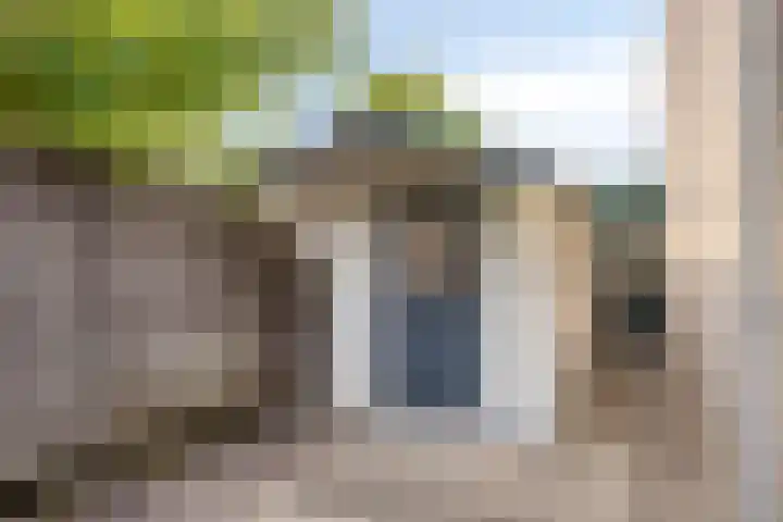 Jan Tooropstraat 63 Oud-Beijerland thumbnail 20