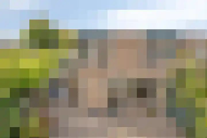 Jan Tooropstraat 63 Oud-Beijerland thumbnail 22