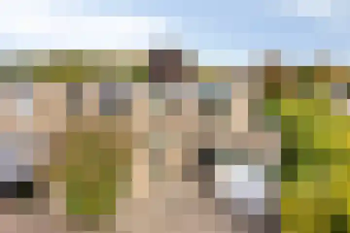 Jan Tooropstraat 63 Oud-Beijerland thumbnail 23