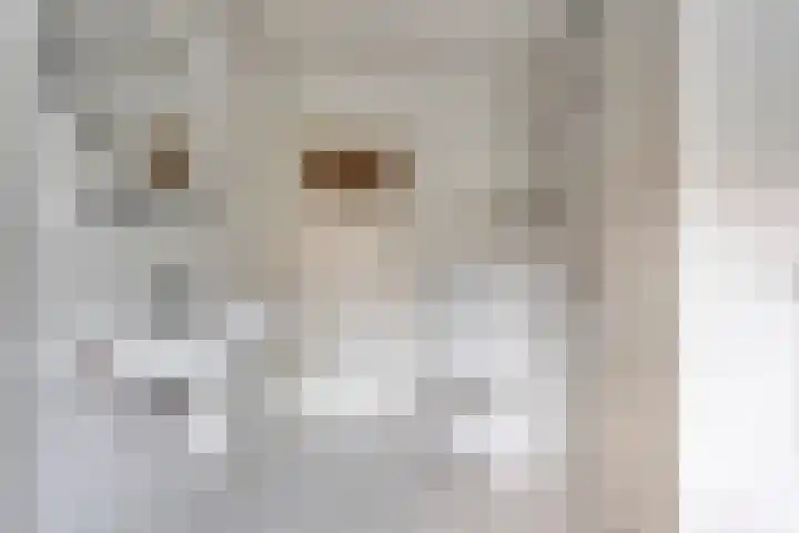 Jan Tooropstraat 7 Zwolle thumbnail 17