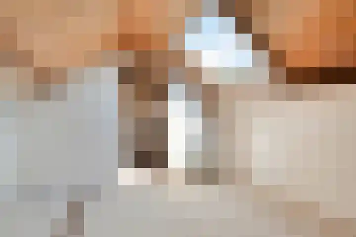 Jan Tooropstraat 7 Zwolle thumbnail 21