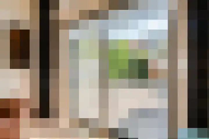 Jan Tooropstraat 7 Zwolle thumbnail 6