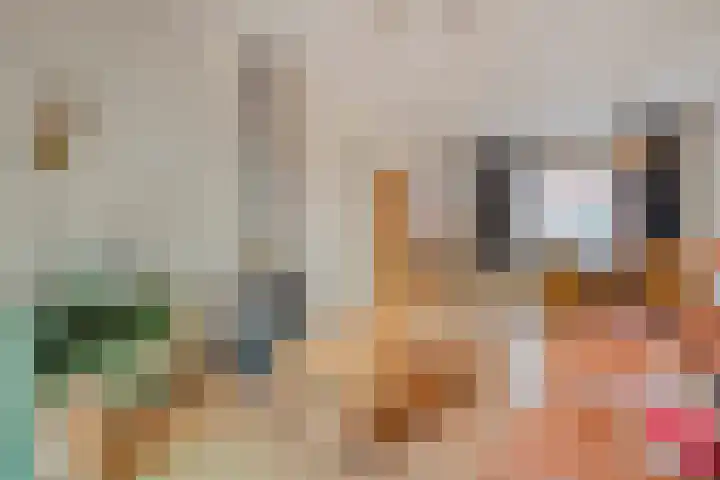 Jan Tooropstraat 7 Zwolle thumbnail 7