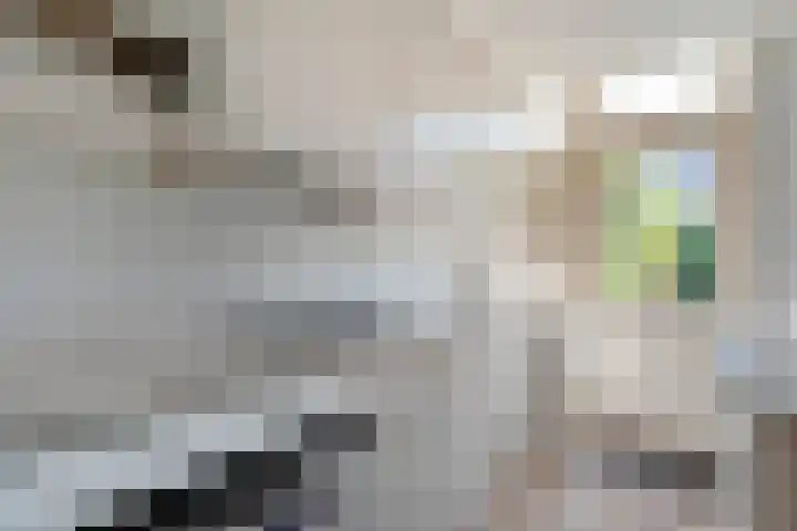 Jan Tooropstraat 7 Zwolle thumbnail 8