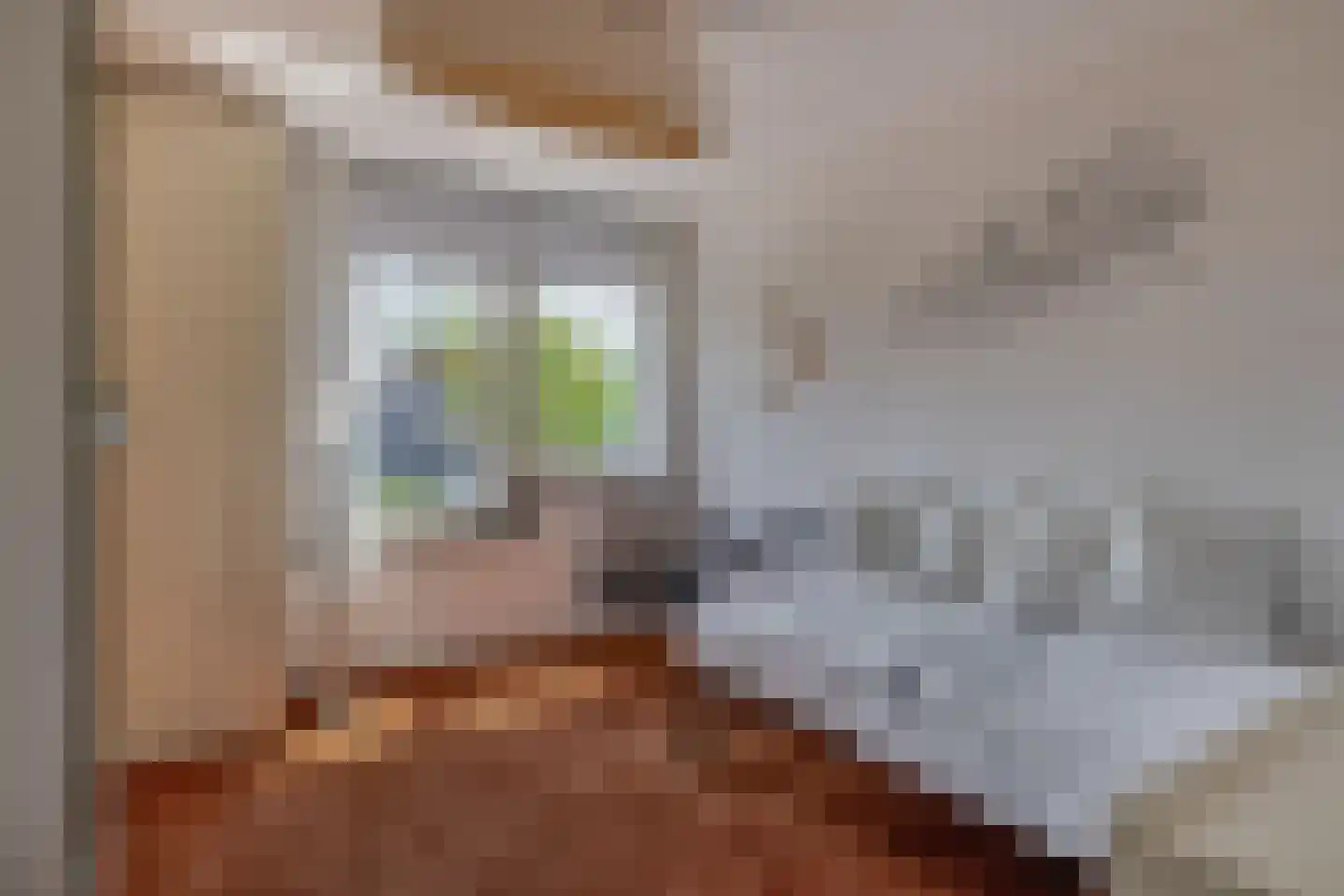 Jan Tooropstraat 73 Oud-Beijerland thumbnail 34