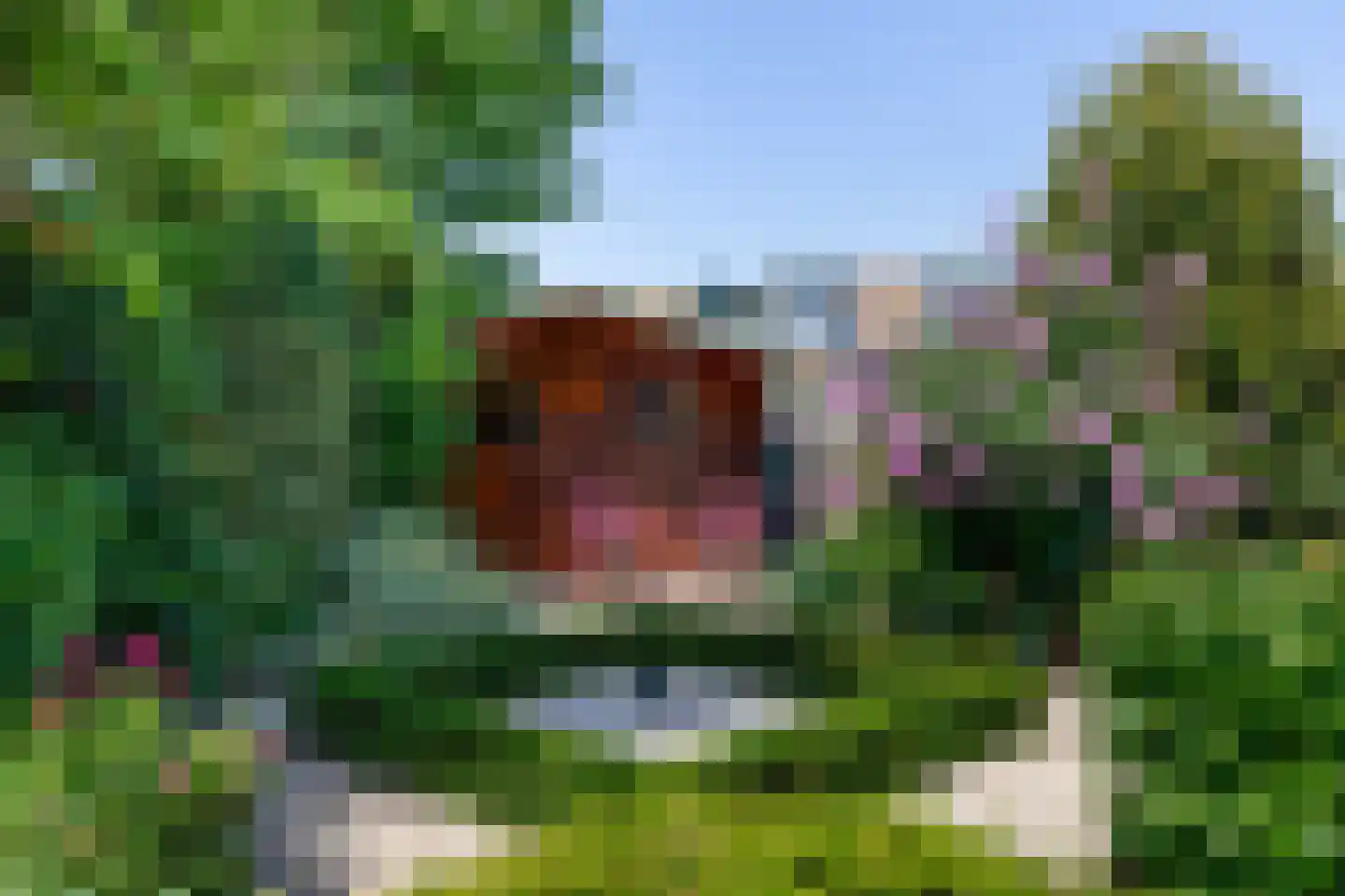 Jan Tooropstraat 73 Oud-Beijerland thumbnail 37