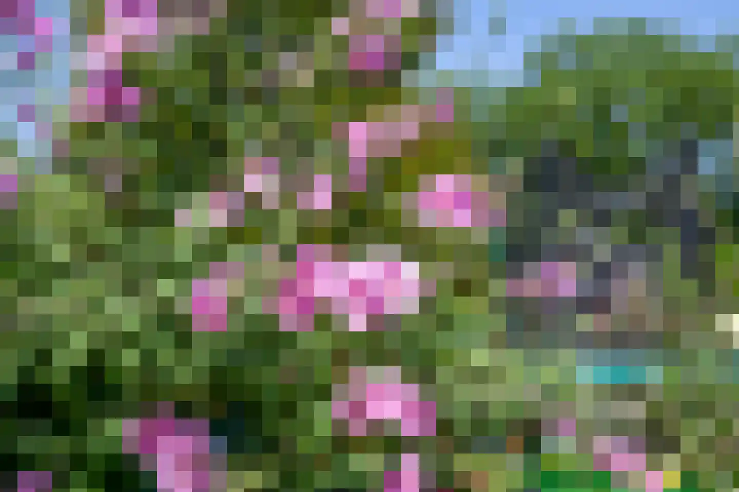 Jan Tooropstraat 73 Oud-Beijerland thumbnail 38