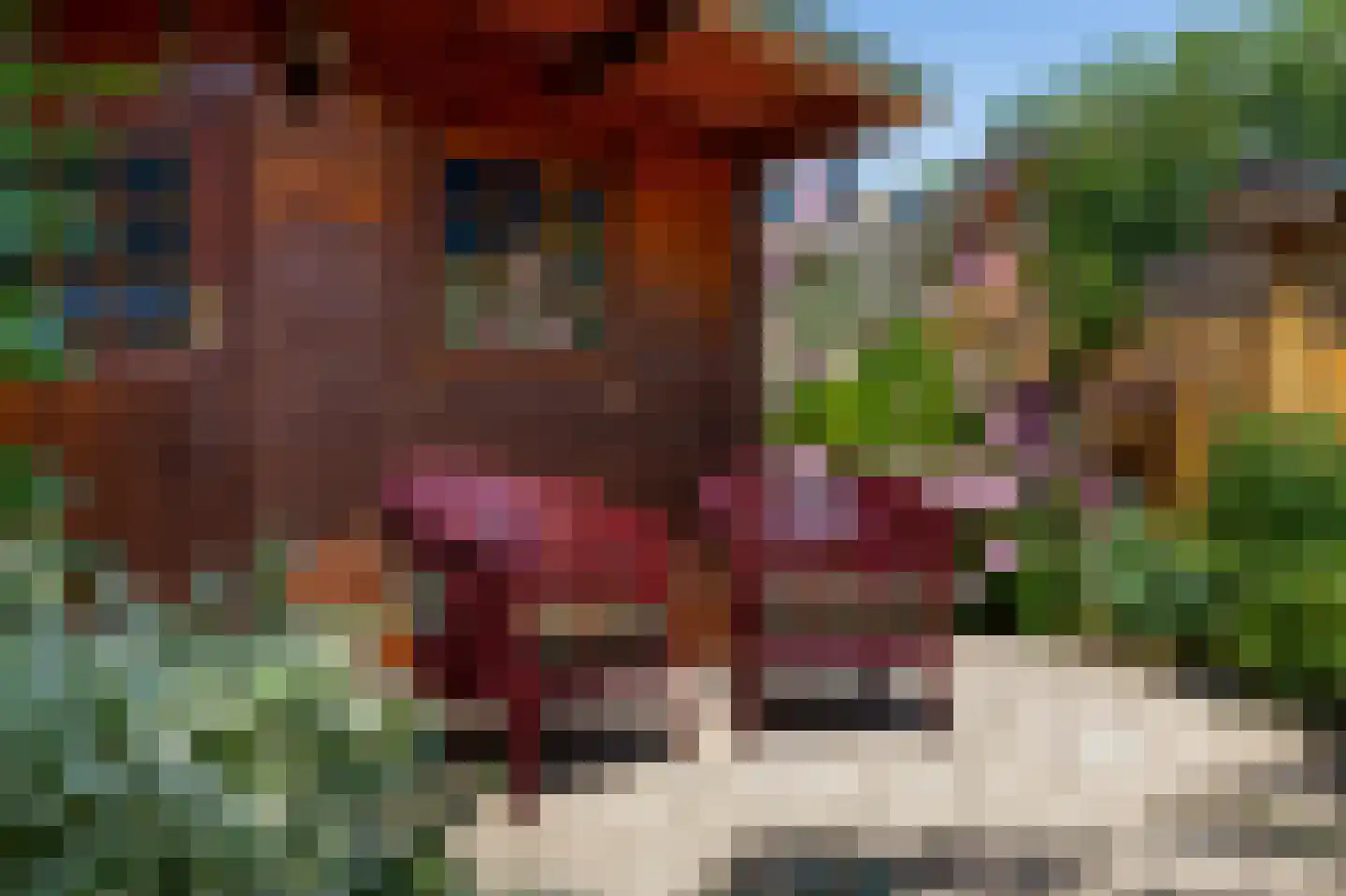 Jan Tooropstraat 73 Oud-Beijerland thumbnail 39